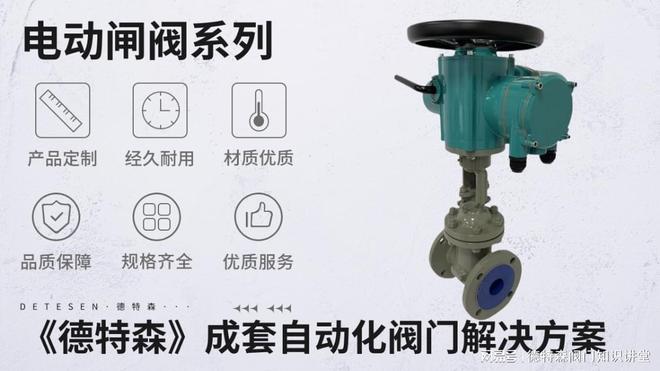 德特森（DETESEN）品牌的电动楔式闸